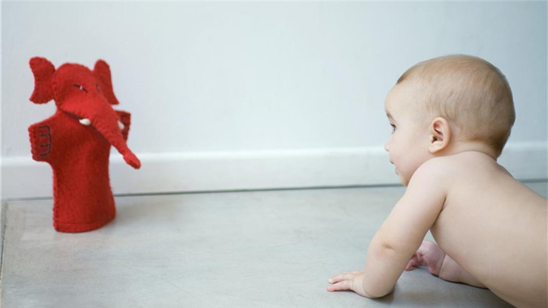 BBunion早教中心：该怎么培养一岁以内的宝宝的好奇心呢