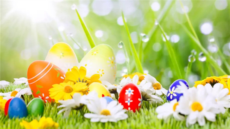 复活节，去兔子与彩蛋的奇妙世界里闯荡
