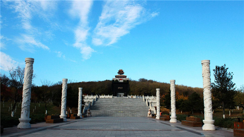 BBunion国际早教进驻辽宁辽阳：木干鸟栖，只为你来