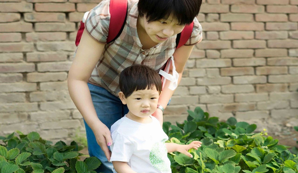 BBunion太原百花谷中心：草莓采摘！